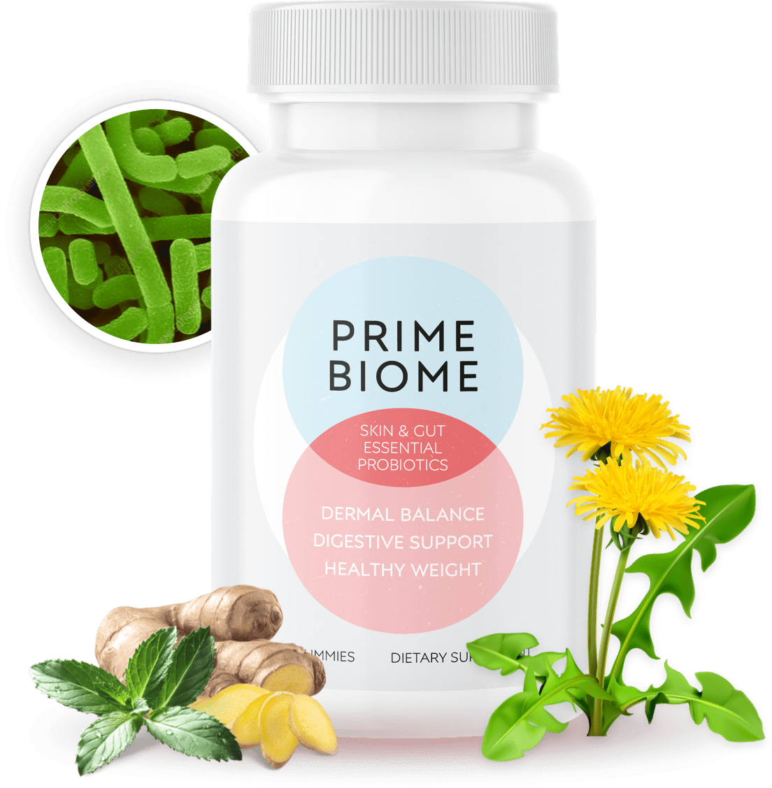 PrimeBiome 1 Bottle with ingredients